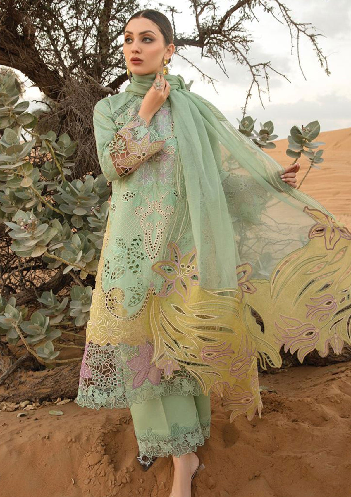 RANG RASIYA ELNAZ GREEN CHICKEN KARI| LAWN COLLECTION| TOP PAKISTANI D –  Shaebiz Collection