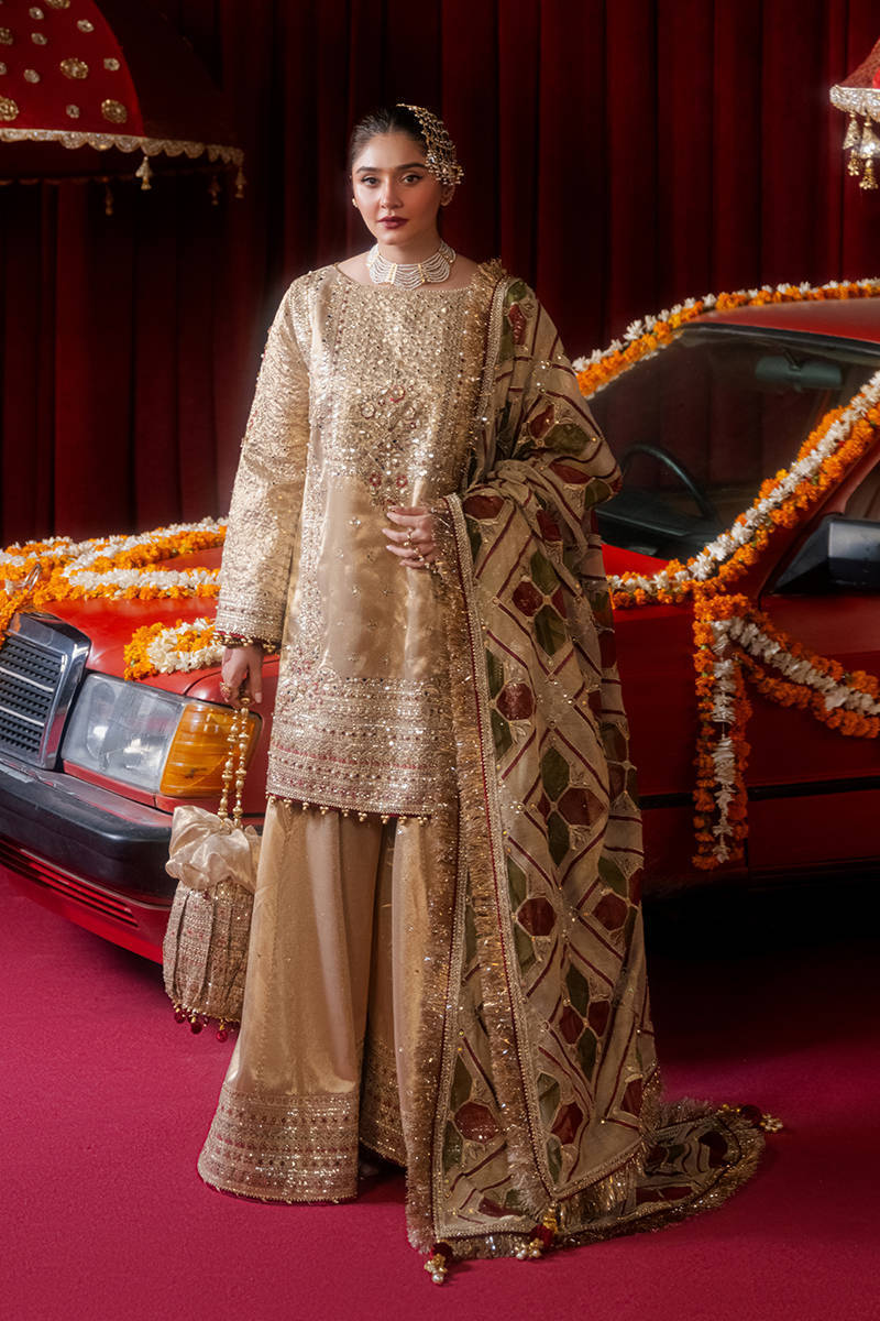 MOHSIN NAVEED RANJHA LUXURY NET WEDDING FORMALS| UNSTITCHED MASTER REPLICA| TOP PAKISTANI DRESS BY SHAEBIZ