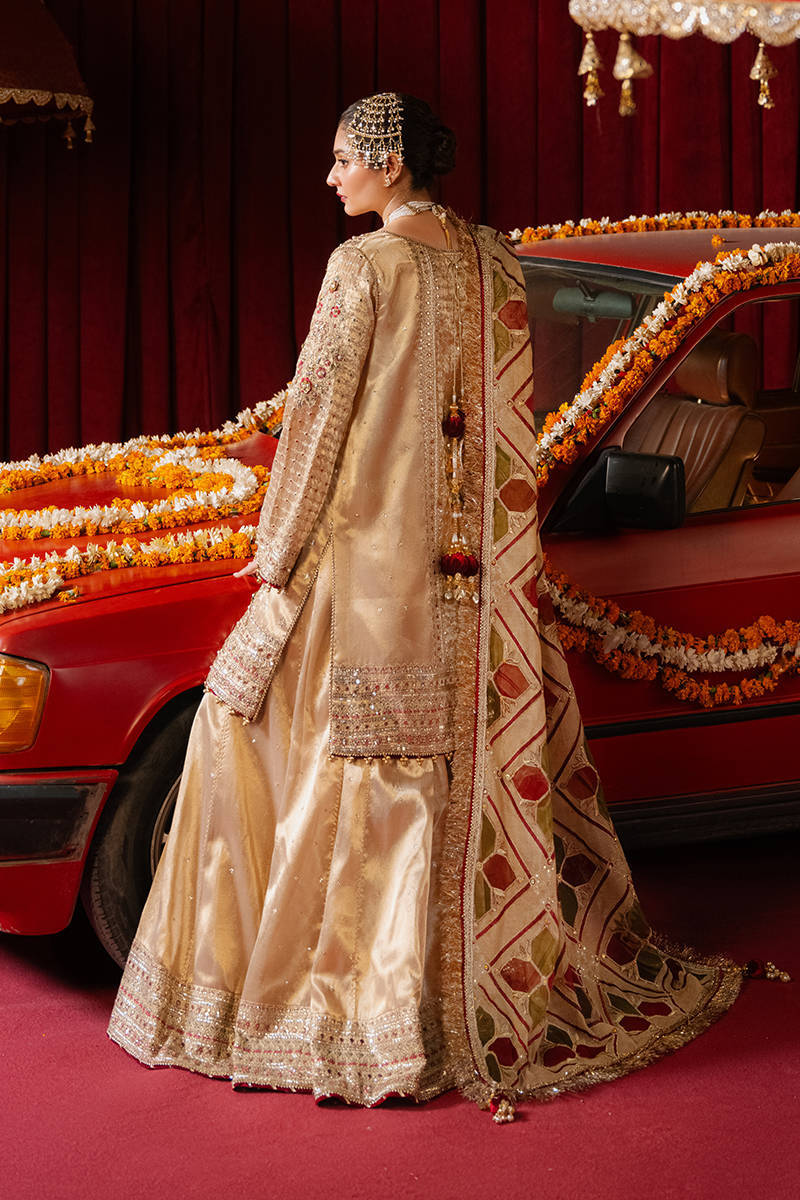 MOHSIN NAVEED RANJHA LUXURY NET WEDDING FORMALS| UNSTITCHED MASTER REPLICA| TOP PAKISTANI DRESS BY SHAEBIZ