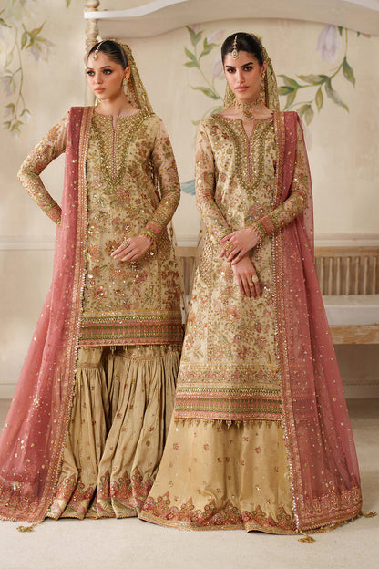 BAROUQUE LATEST EMBROIDERED NET COLLECTION| UNSTITCHED BRIDAL COLLECTION BY SHAEBIZ