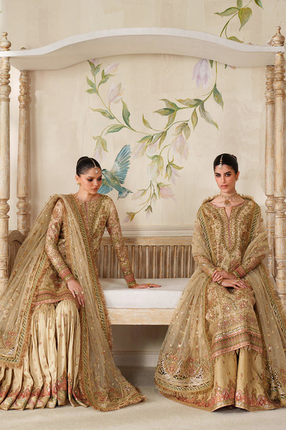 BAROUQUE LATEST EMBROIDERED NET COLLECTION| UNSTITCHED BRIDAL COLLECTION BY SHAEBIZ
