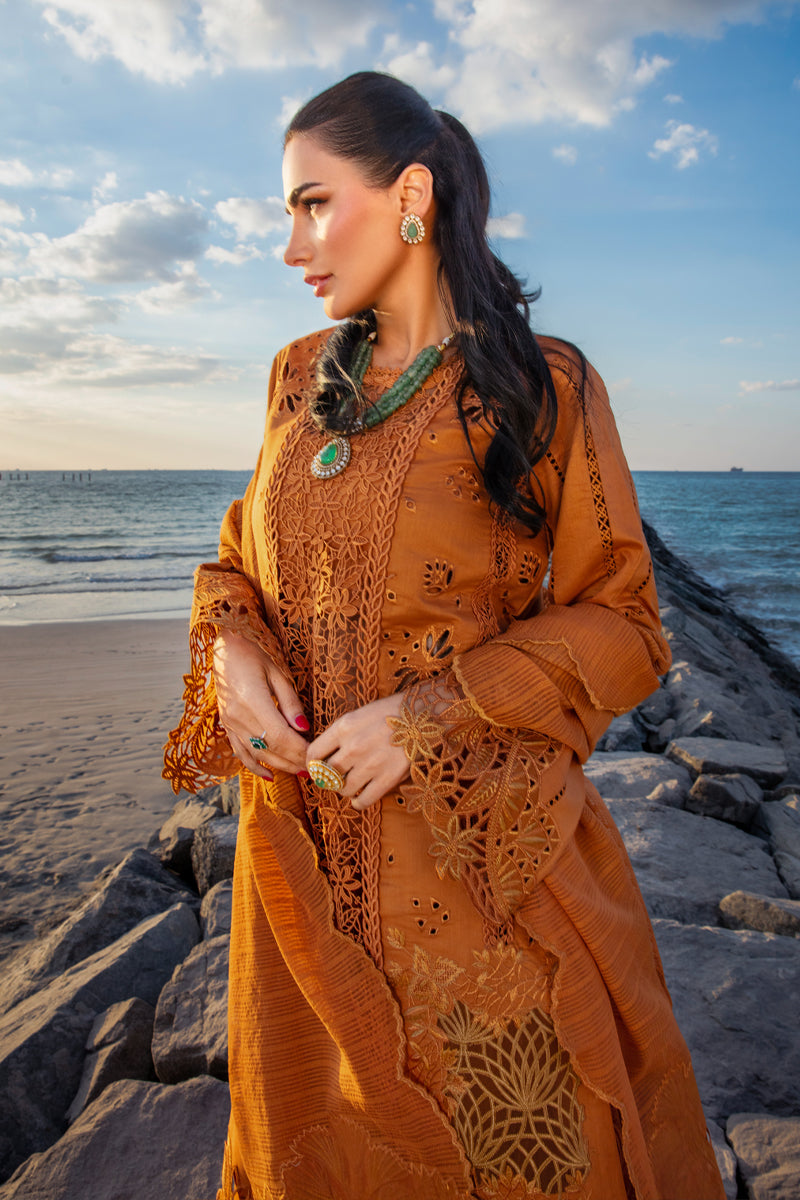 RANG RASIYA PREMIUM EMBROIDERED CHICKEN KARI LAWN | UNSTITCHED 3 PCS BY SHAEBIZ