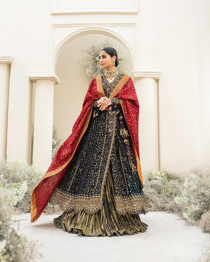 Chiffon 2025 collection 