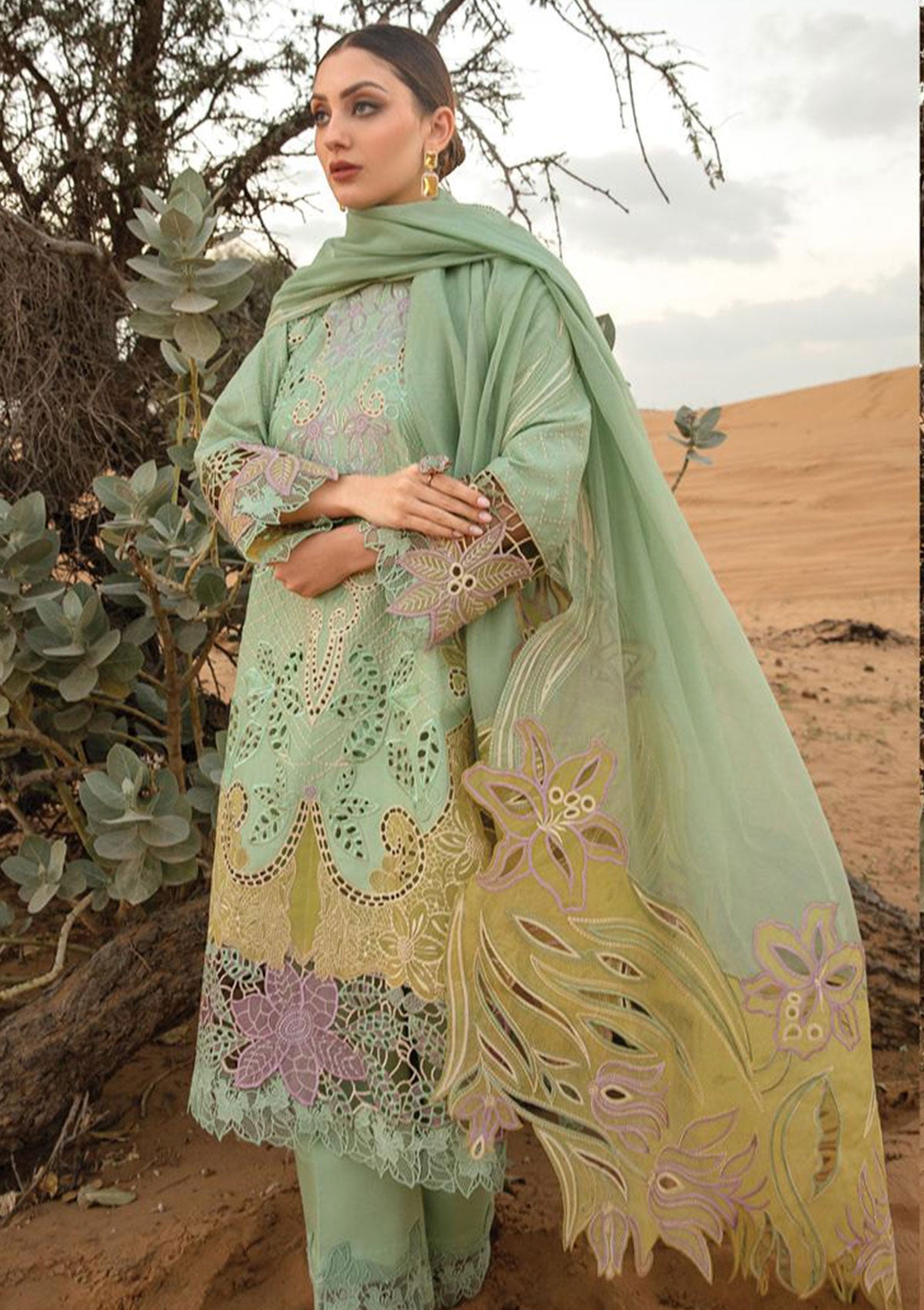 RANG RASIYA ELNAZ GREEN CHICKEN KARI| LAWN COLLECTION| TOP PAKISTANI DRESS BY SHAEBIZ|