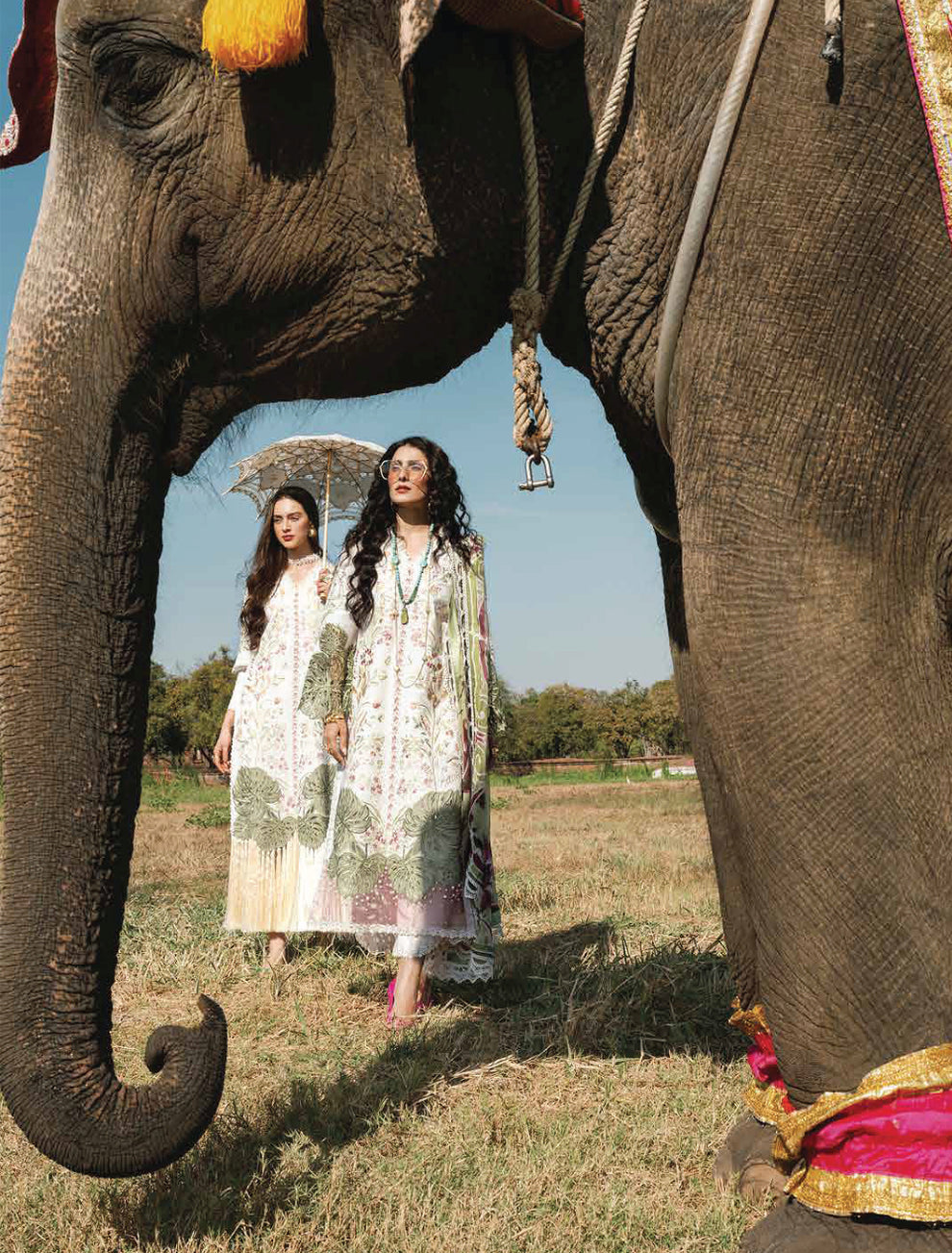 MUSHQ LAWANA LUXURY SUMMER LAWN|TOP PAKISTANI DRESS BY SHAEBIZ|