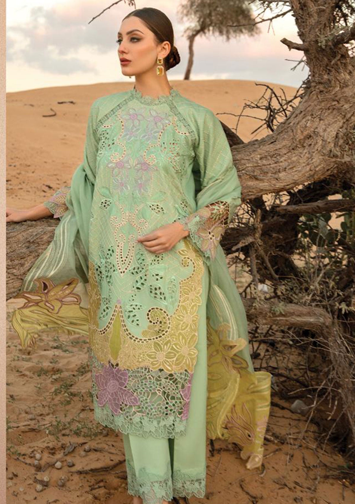 RANG RASIYA ELNAZ GREEN CHICKEN KARI| LAWN COLLECTION| TOP PAKISTANI DRESS BY SHAEBIZ|