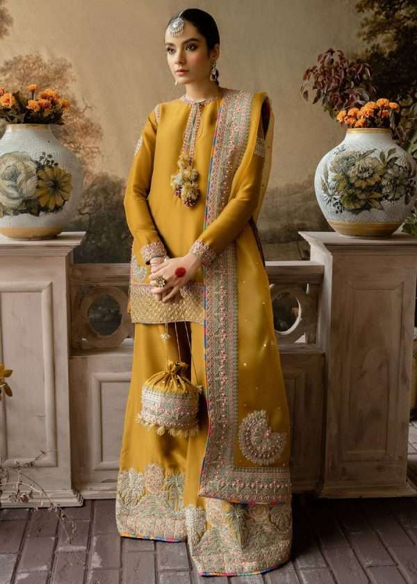 AKBER ASLAM ORGENZA DRESS (AB-SRO21)