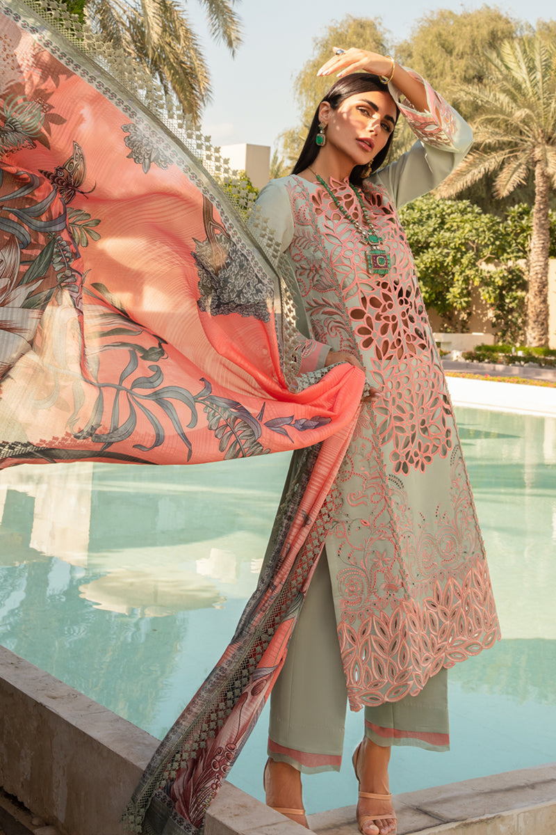RANG RASIYA LUXURY LACER ROOH LAWN COLLECTION | TOP PAKISTANI DRESS BY SHAEBIZ