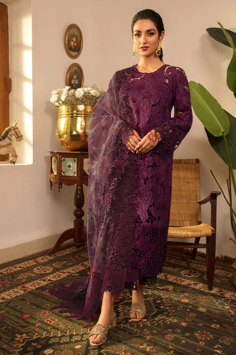 RANG RASIYA PURPLE CHICKEN KARI| LAWN PARTY WEAR2024| TOP PAKISTANI DRESS BY SHAEBIZ|