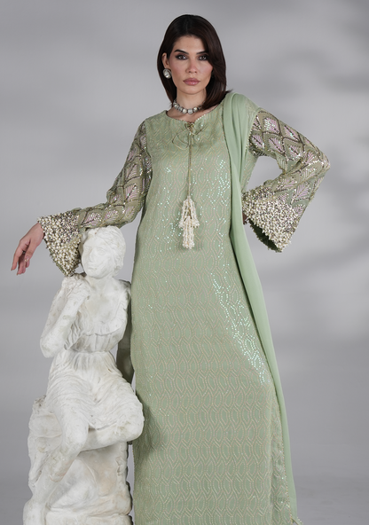 AMARA NEW CHIFFON LUXURY WEAR UNSTITCH COLLECTION BY SHAEBIZ