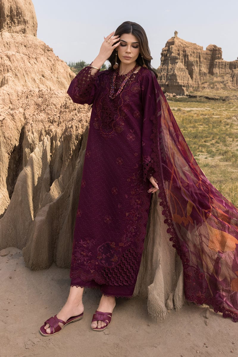 RANG RASIYA 2026 LAWN CHICKEN KARI UNSTITCH COLLECTION BY SHAEBIZ