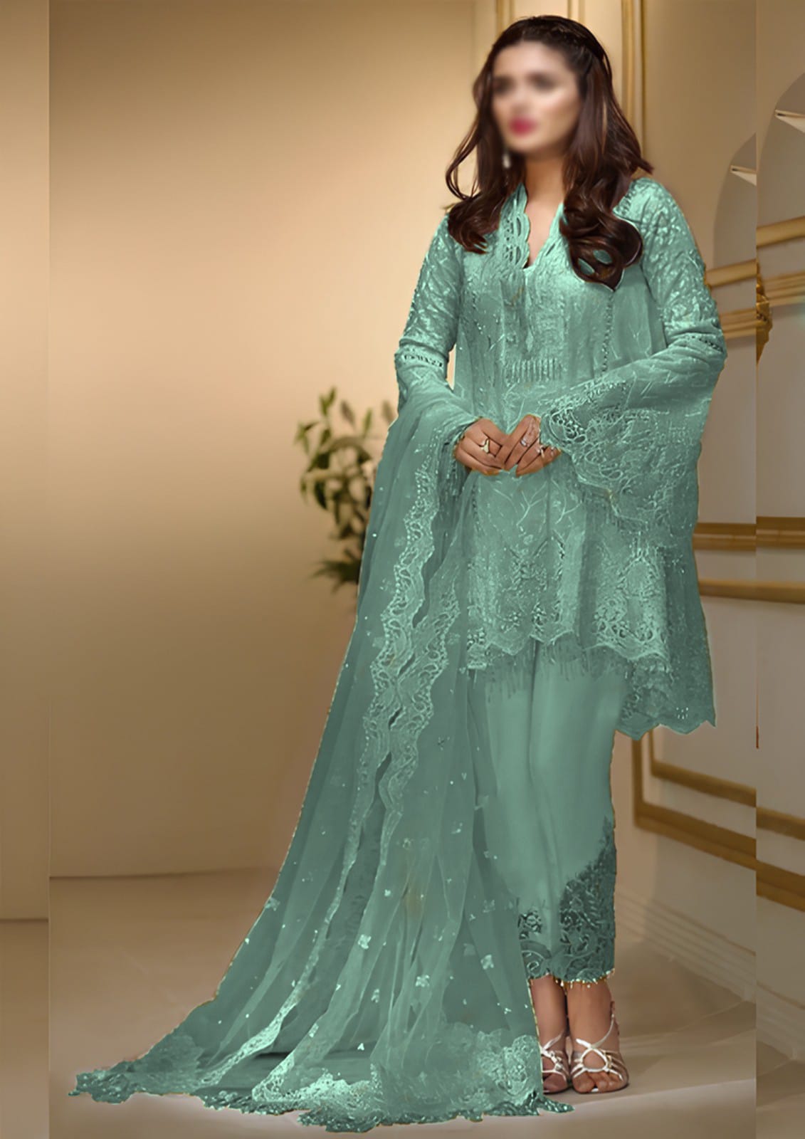 ANAYA MINT MIST LUXURY NET COLLECTION| PARTY WEAR| TOP PAKISTANI DRESS BY SHAEBIZ