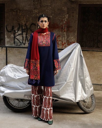 JUGNU LAWN CHICKEN KARI BEST FOR SUMMER| TOP PAKISTANI DRESS BY SHAEBIZ