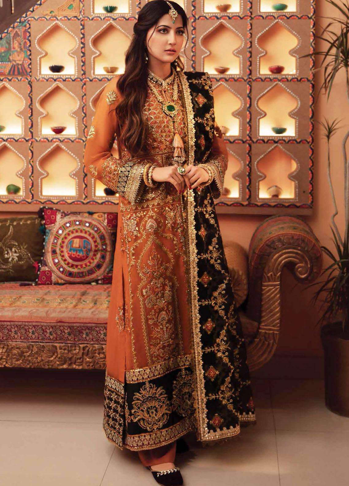 Sajni By Gisele ORGENZA PARTY WEAR COLLECTION.