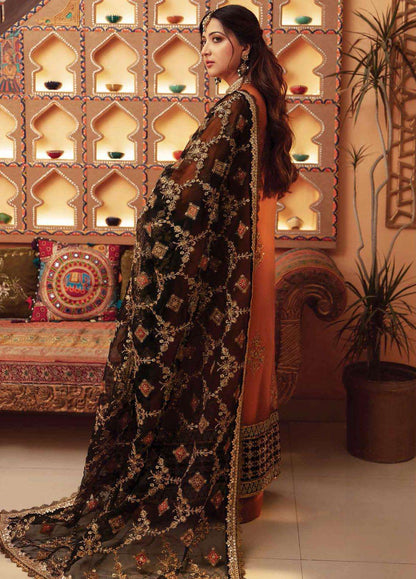 Sajni By Gisele ORGENZA PARTY WEAR COLLECTION.